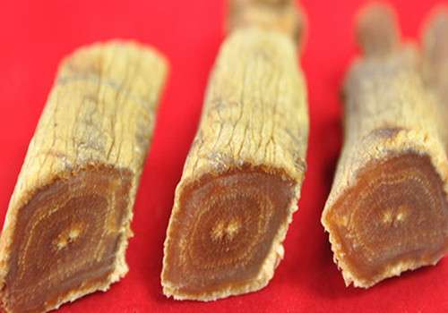 加盟东风灵参茸好吗？
